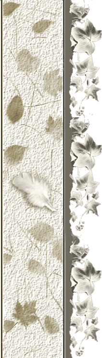 LEFT for swanparadise.com