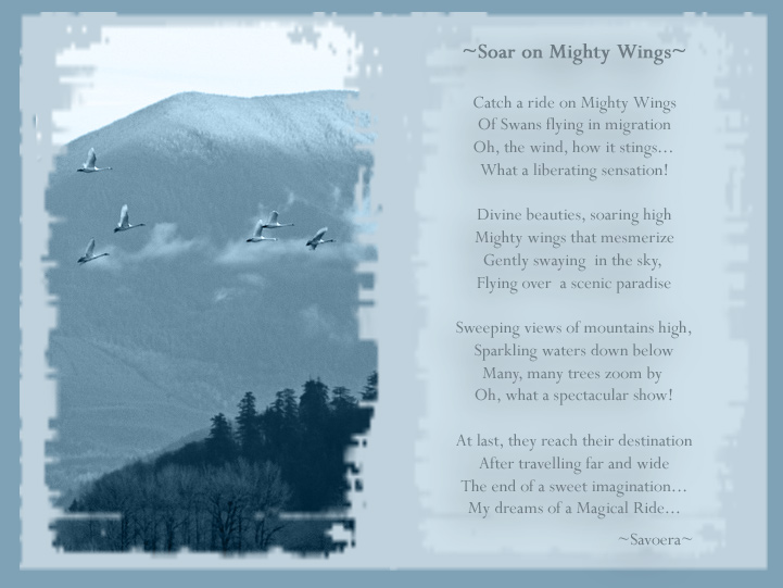 "Mighty Wings" Poem